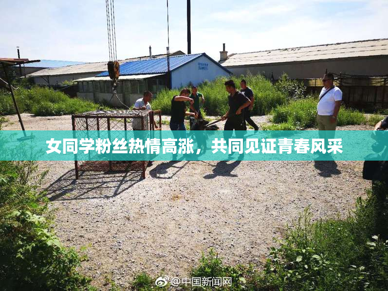 女同学粉丝热情高涨，共同见证青春风采