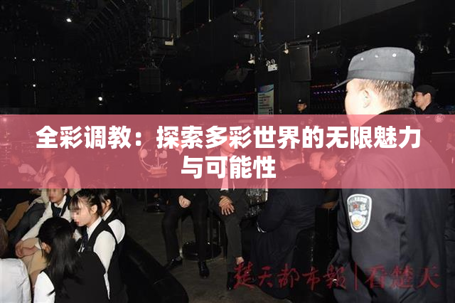 全彩调教：探索多彩世界的无限魅力与可能性