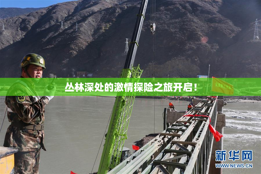 丛林深处的激情探险之旅开启！