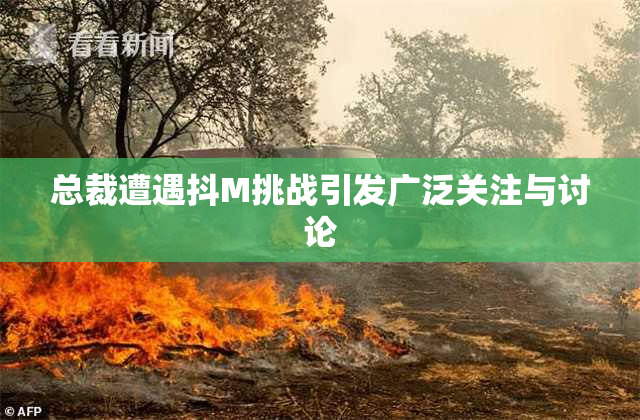 总裁遭遇抖M挑战引发广泛关注与讨论