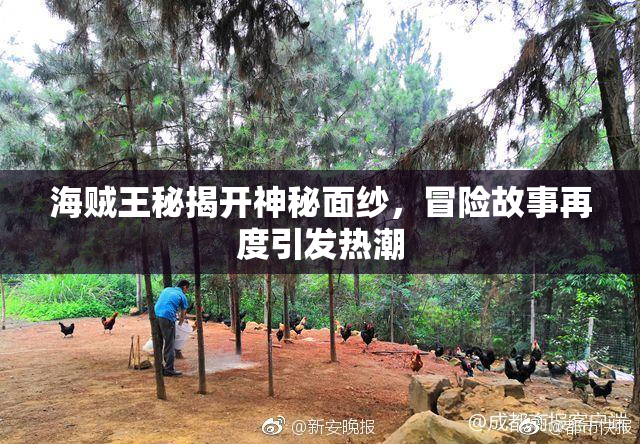 海贼王秘揭开神秘面纱，冒险故事再度引发热潮
