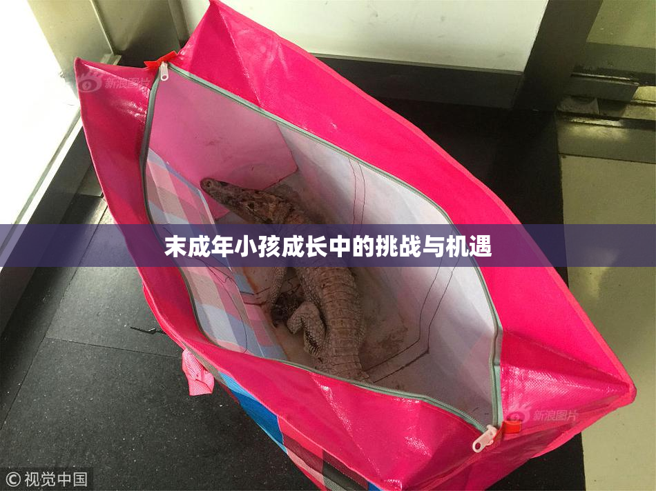 末成年小孩成长中的挑战与机遇