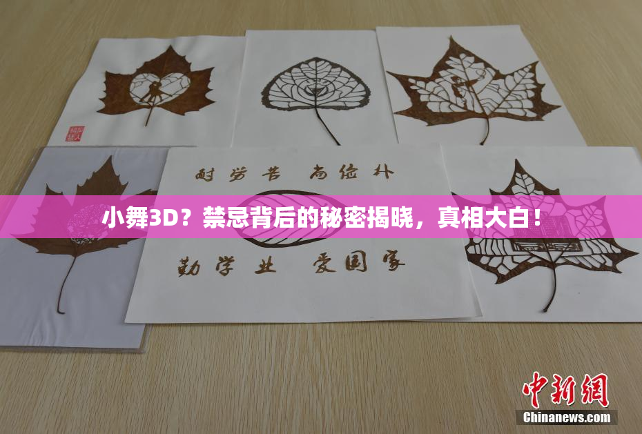 小舞3D？禁忌背后的秘密揭晓，真相大白！