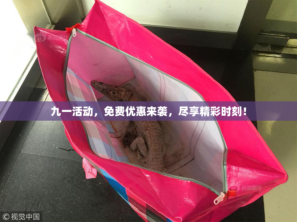 九一活动，免费优惠来袭，尽享精彩时刻！