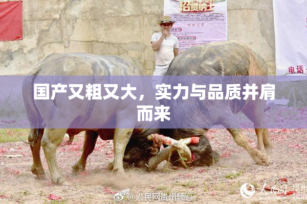 国产又粗又大，实力与品质并肩而来
