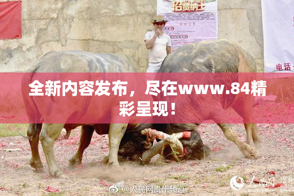 全新内容发布，尽在www.84精彩呈现！