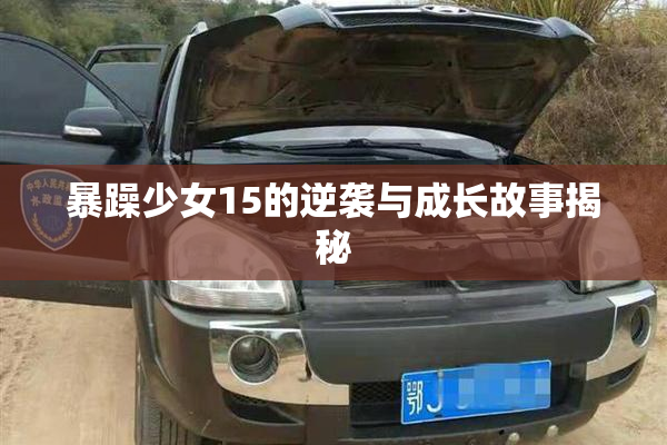 暴躁少女15的逆袭与成长故事揭秘