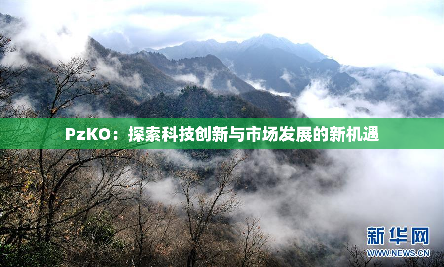 PzKO：探索科技创新与市场发展的新机遇