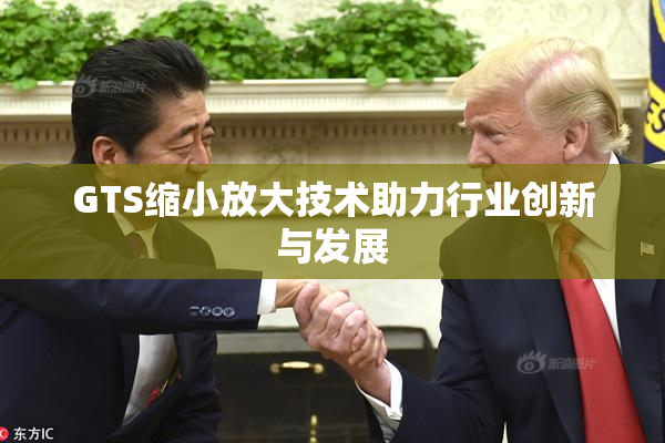 GTS缩小放大技术助力行业创新与发展