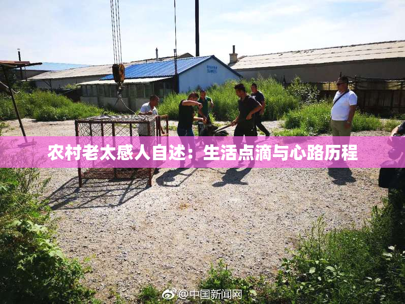 农村老太感人自述：生活点滴与心路历程
