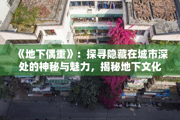 《地下偶重》：探寻隐藏在城市深处的神秘与魅力，揭秘地下文化的独特魅力。