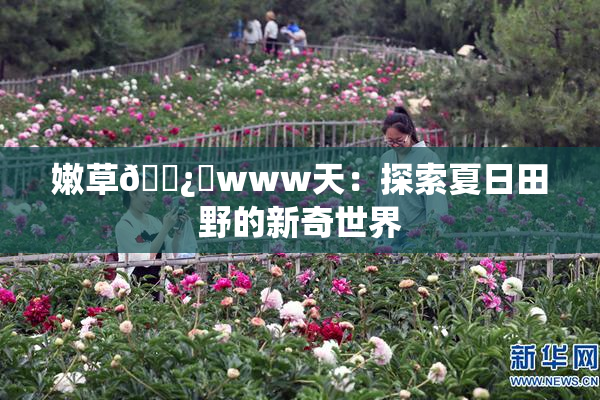 嫩草🌿‌www天：探索夏日田野的新奇世界