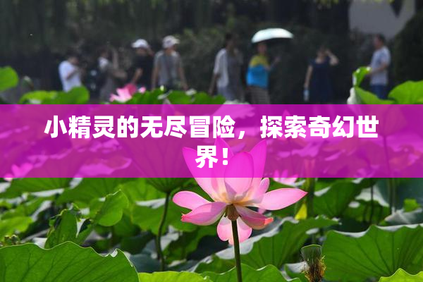 小精灵的无尽冒险，探索奇幻世界！