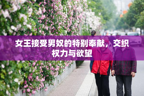 女王接受男奴的特别奉献，交织权力与欲望