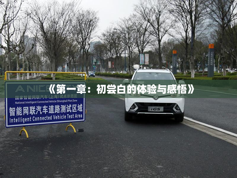 《第一章：初尝白的体验与感悟》