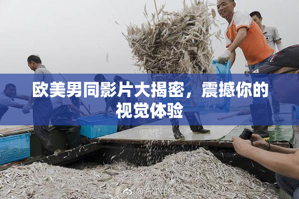 欧美男同影片大揭密，震撼你的视觉体验