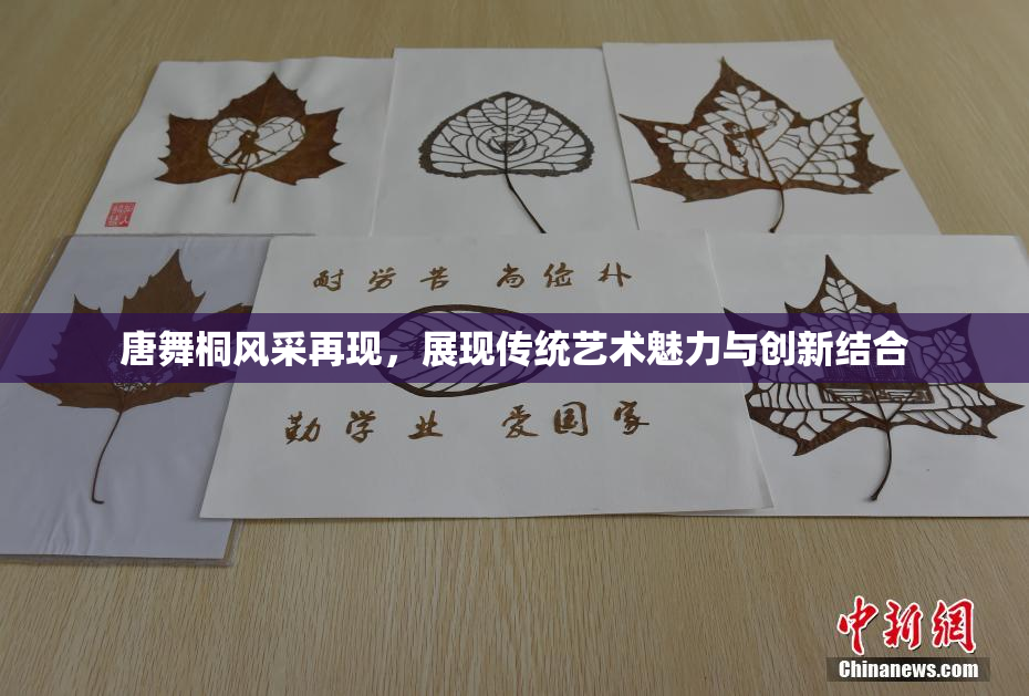 唐舞桐风采再现，展现传统艺术魅力与创新结合