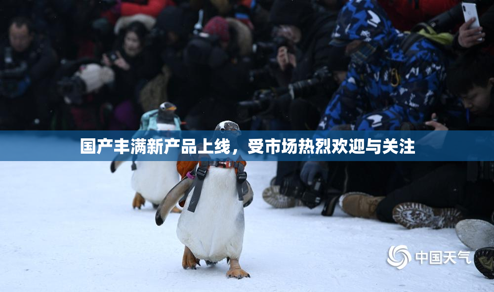 国产丰满新产品上线，受市场热烈欢迎与关注