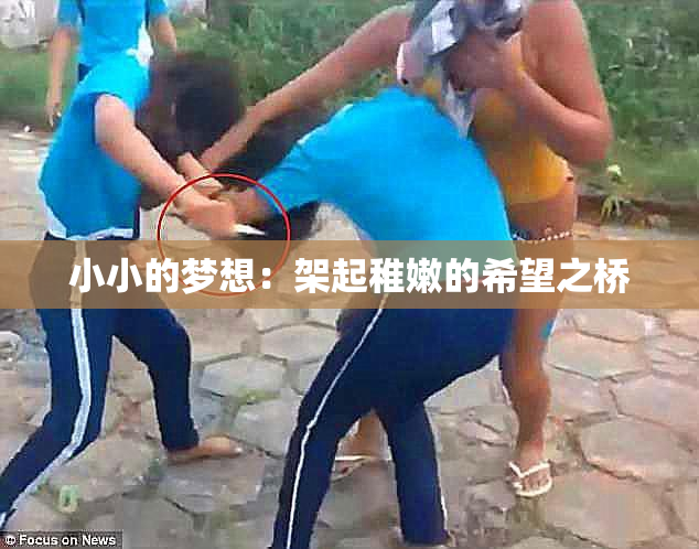 小小的梦想：架起稚嫩的希望之桥