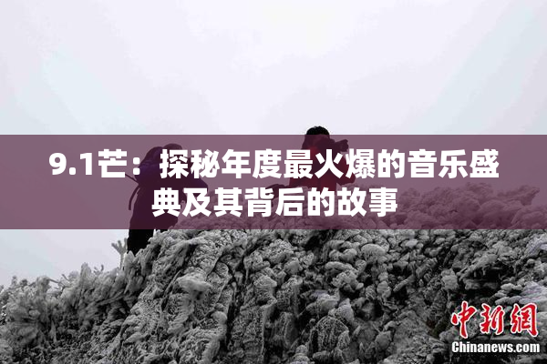 9.1芒：探秘年度最火爆的音乐盛典及其背后的故事