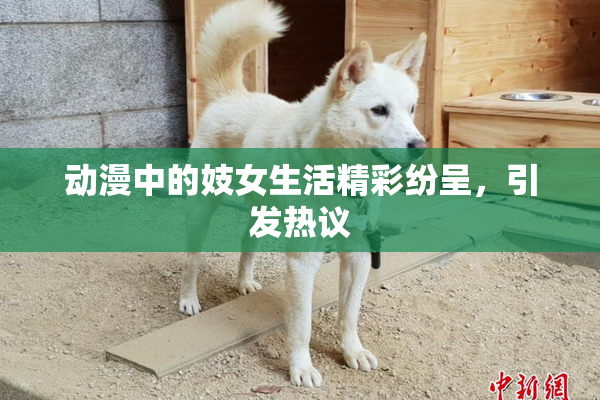 动漫中的妓女生活精彩纷呈，引发热议