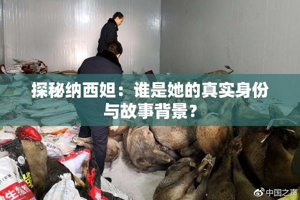探秘纳西妲：谁是她的真实身份与故事背景？