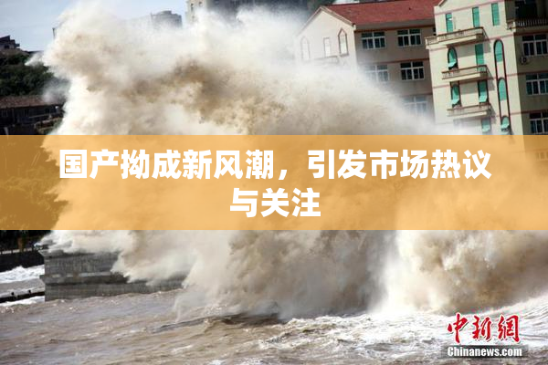 国产拗成新风潮，引发市场热议与关注