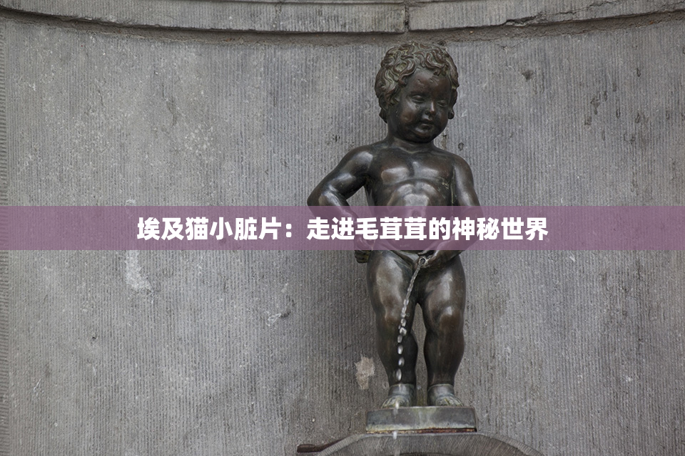 埃及猫小脏片：走进毛茸茸的神秘世界