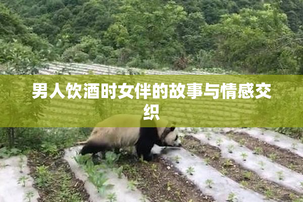 男人饮酒时女伴的故事与情感交织