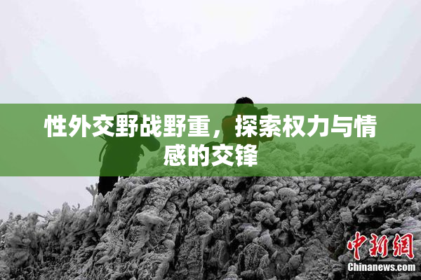 性外交野战野重，探索权力与情感的交锋