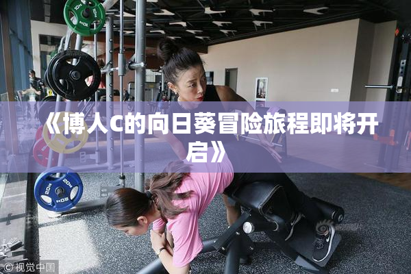《博人C的向日葵冒险旅程即将开启》