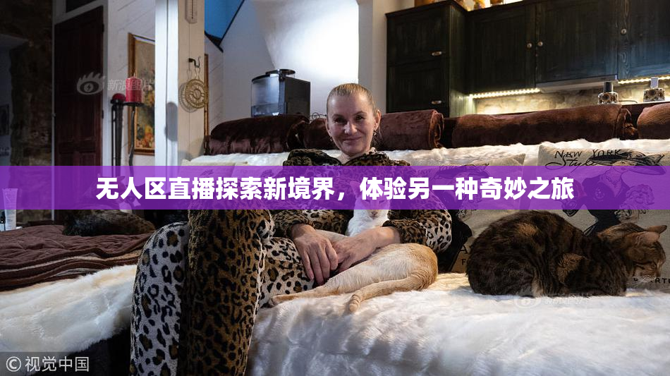 无人区直播探索新境界，体验另一种奇妙之旅