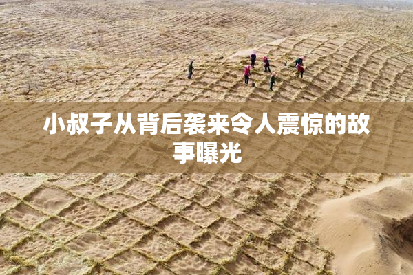 小叔子从背后袭来令人震惊的故事曝光