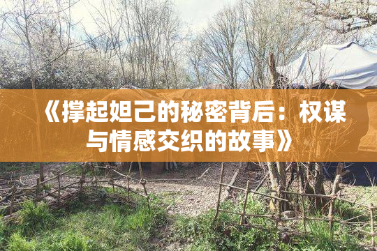 《撑起妲己的秘密背后：权谋与情感交织的故事》