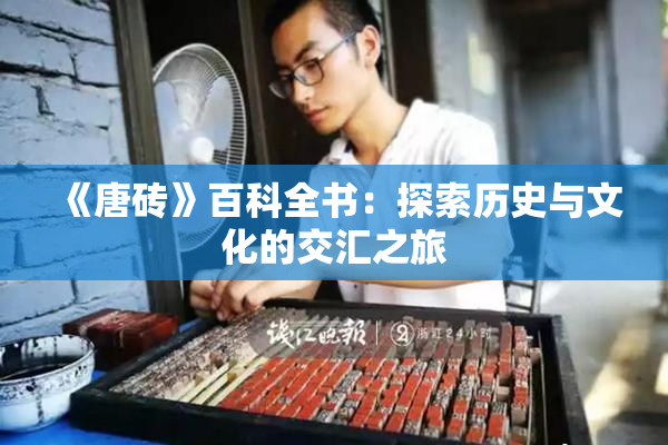 《唐砖》百科全书：探索历史与文化的交汇之旅