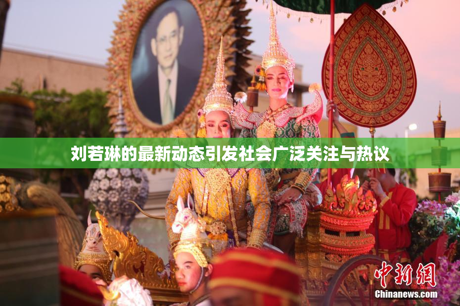 刘若琳的最新动态引发社会广泛关注与热议