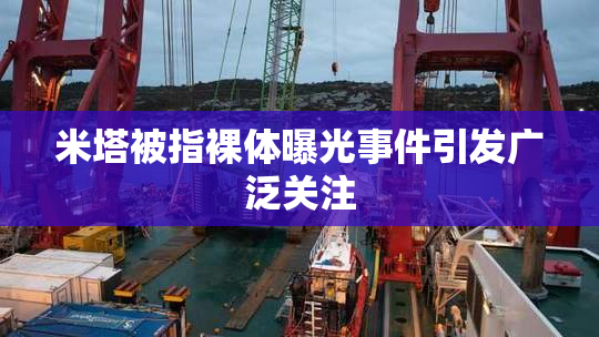 米塔被指裸体曝光事件引发广泛关注