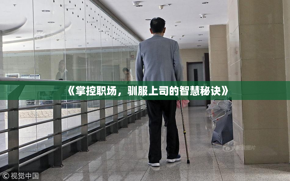 《掌控职场，驯服上司的智慧秘诀》