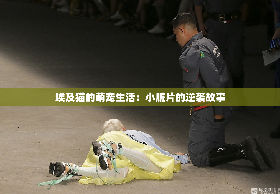 埃及猫的萌宠生活：小脏片的逆袭故事