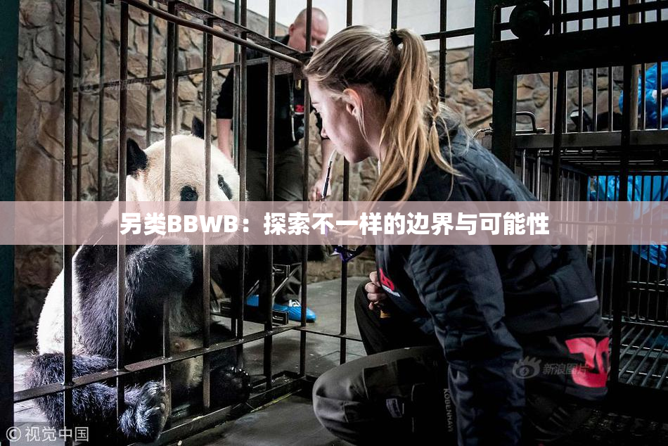 另类BBWB：探索不一样的边界与可能性