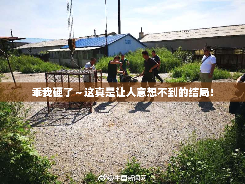 乖我硬了～这真是让人意想不到的结局！