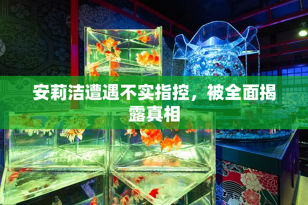 安莉洁遭遇不实指控，被全面揭露真相