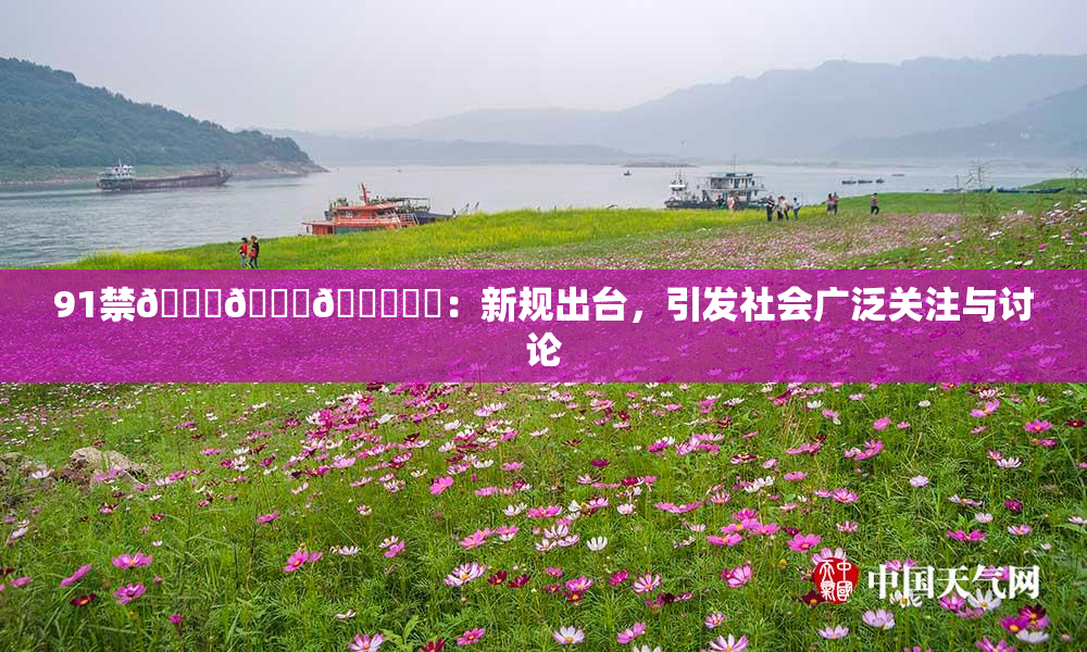 91禁🍆🍑🔞❌‌：新规出台，引发社会广泛关注与讨论