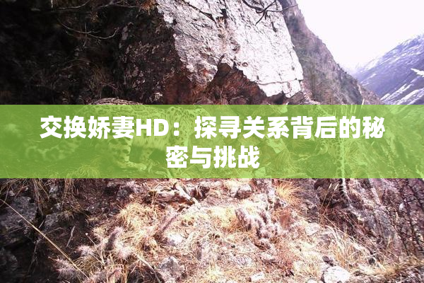 交换娇妻HD：探寻关系背后的秘密与挑战