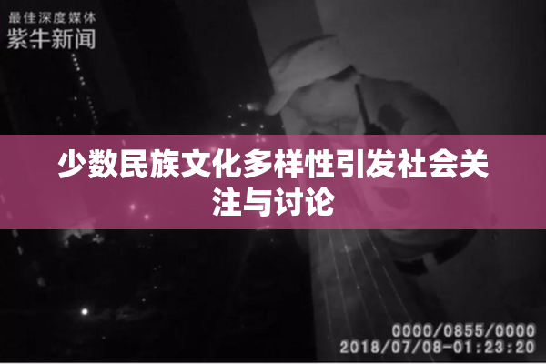 少数民族文化多样性引发社会关注与讨论