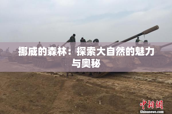 挪威的森林：探索大自然的魅力与奥秘