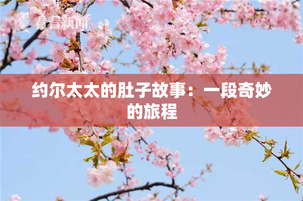 约尔太太的肚子故事：一段奇妙的旅程