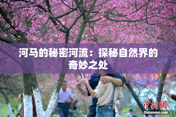 河马的秘密河流：探秘自然界的奇妙之处