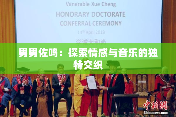 男男佐鸣：探索情感与音乐的独特交织