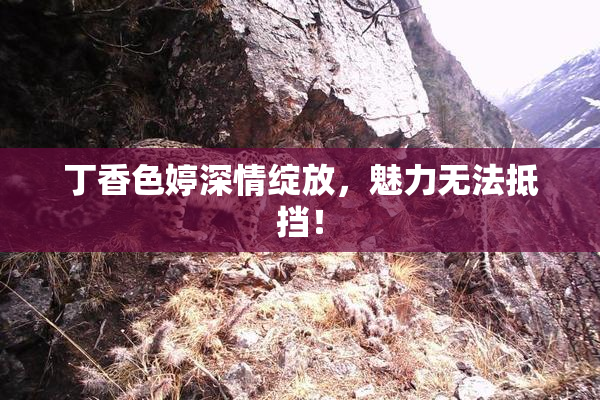 丁香色婷深情绽放，魅力无法抵挡！